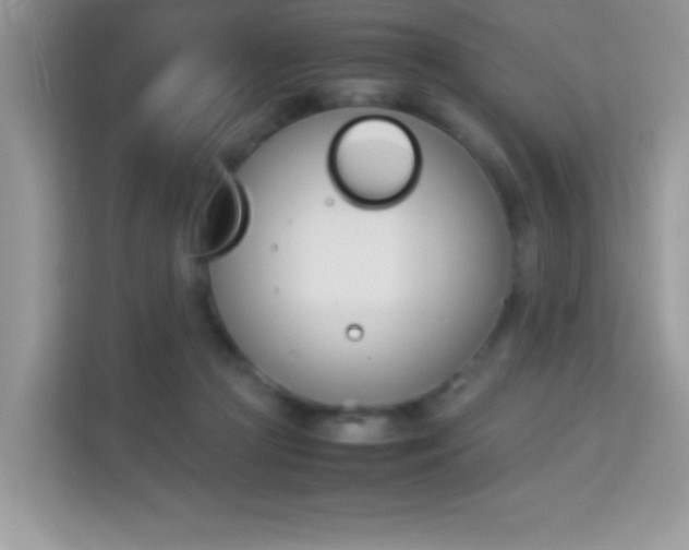 X0000114230361200910091453