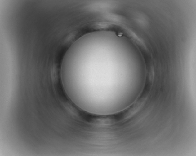 X0000114230366200910091453