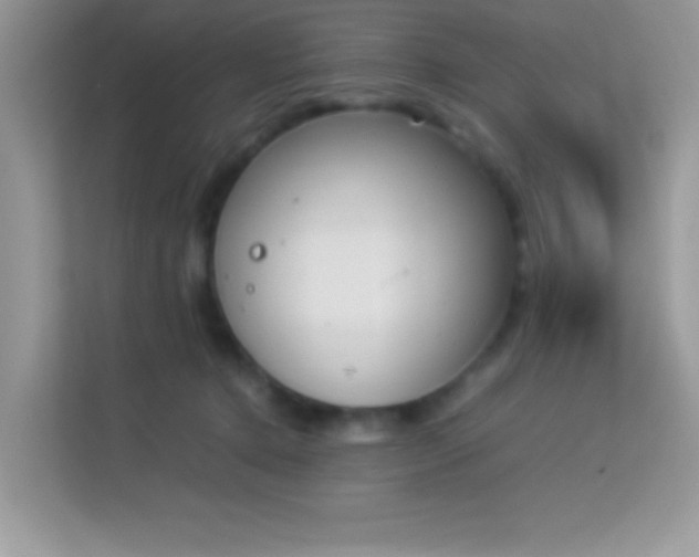 X0000114230368200910091453