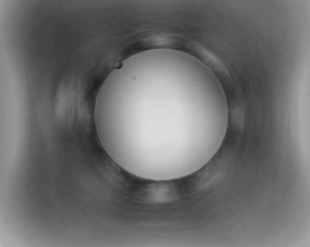 X0000114230373200910091453