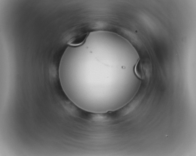 X0000114230380200910091453