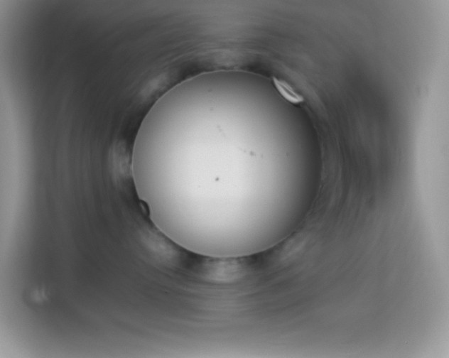 X0000114230384200910091453