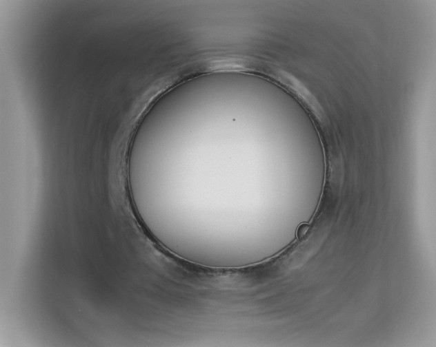 X0000114230385200910091453