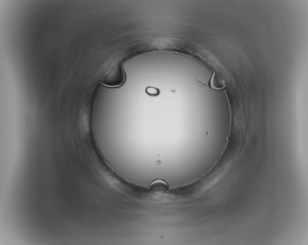 X0000114230393200910091453