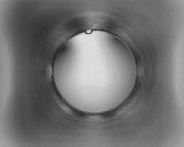 X0000114230397200910091453