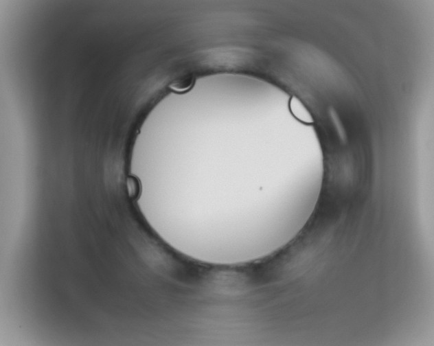 X0000114230399200910091452