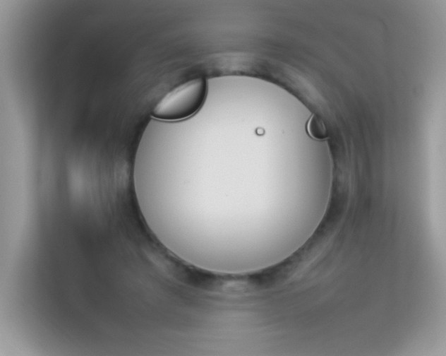 X0000114230401200910091452
