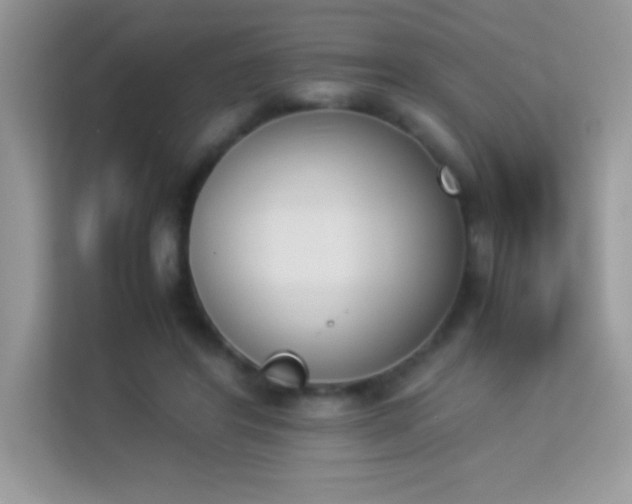 X0000114230404200910091452