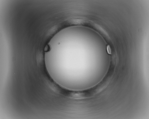 X0000114230407200910091452