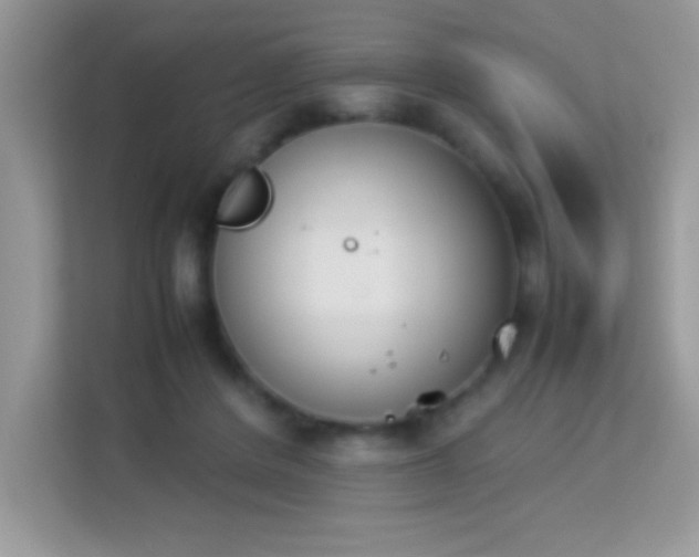 X0000114230408200910091452