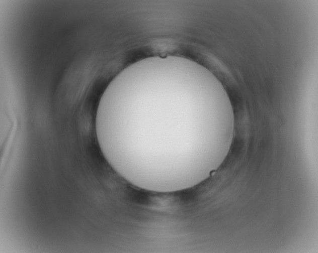 X0000114230417200910091452
