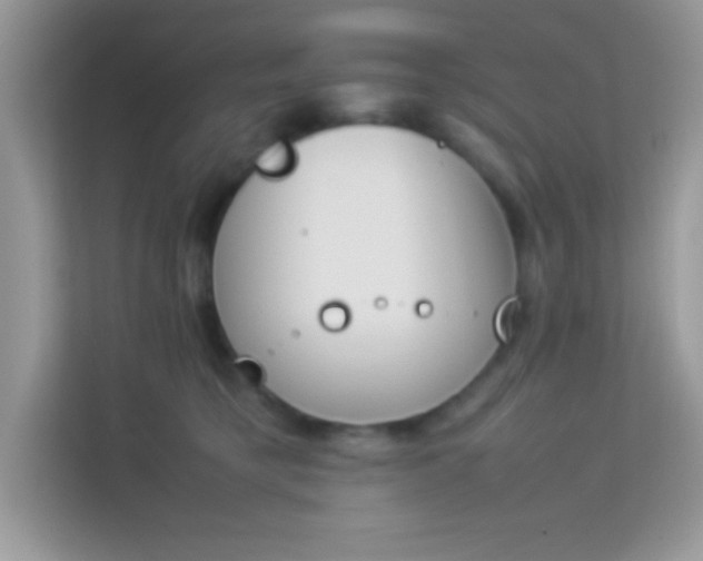 X0000114230421200910091452