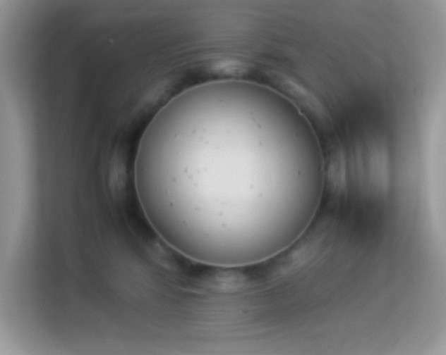 X0000114230424200910091452