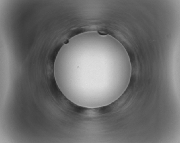 X0000114230425200910091452
