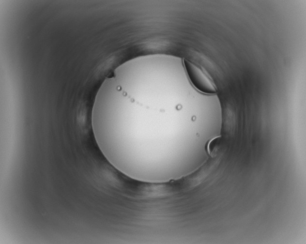 X0000114230428200910091452