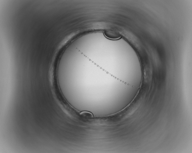 X0000114230436200910091451