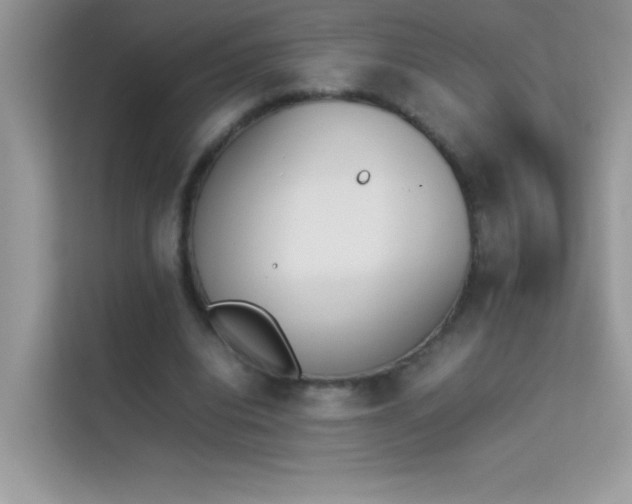 X0000114230440200910091452
