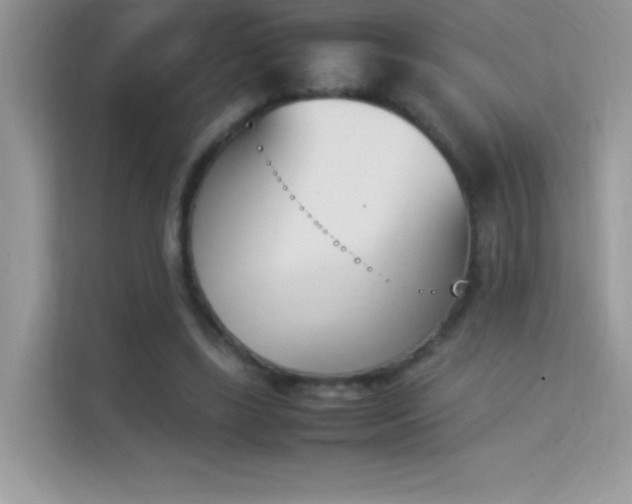 X0000114230443200910091452