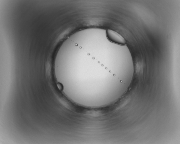 X0000114230444200910091452