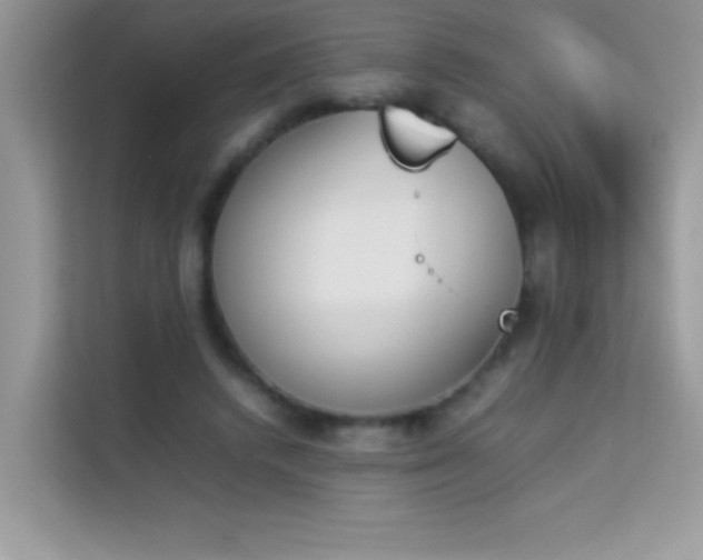 X0000114230448200910091452