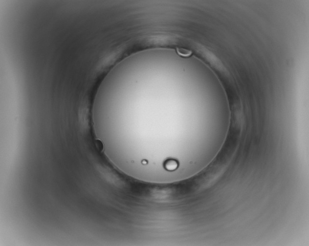 X0000114230450200910091452