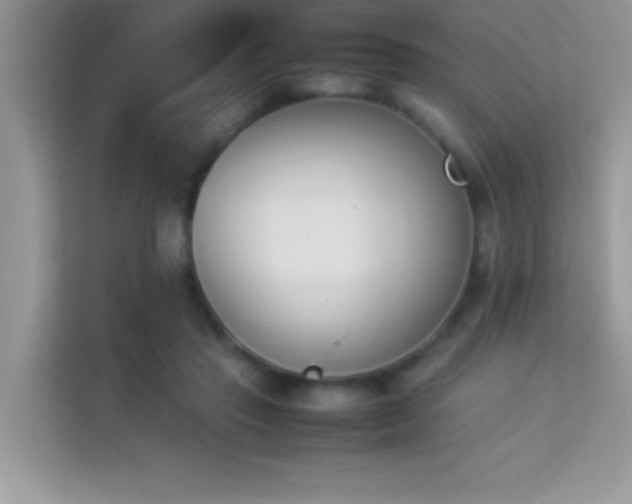 X0000114230453200910091452