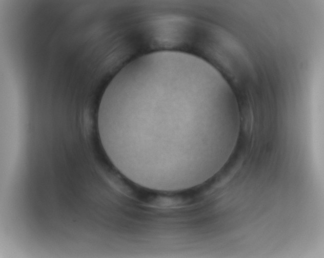 X0000114230455200910091452