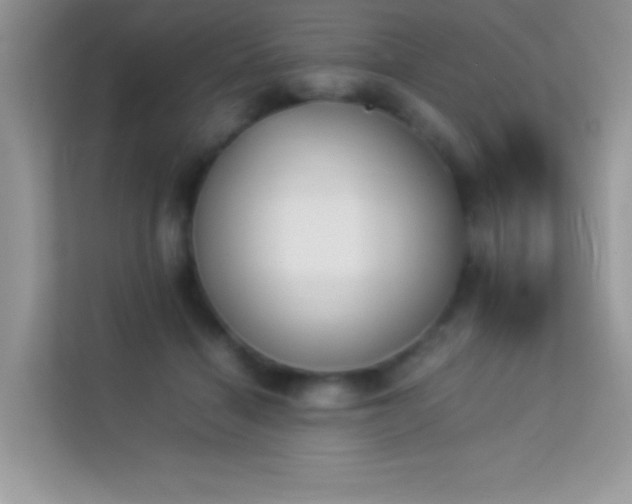 X0000114230460200910091452