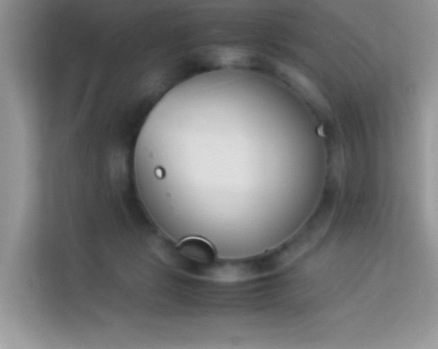 X0000114230461200910091452