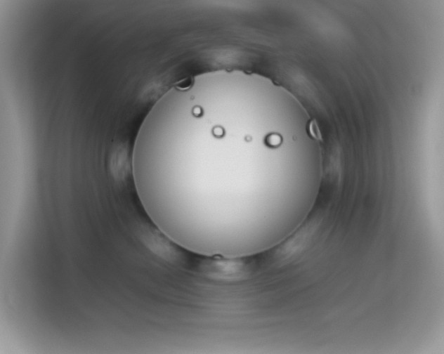 X0000114230478200910091452