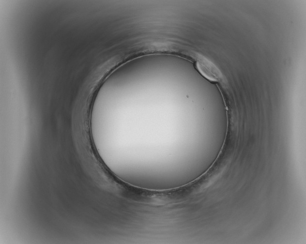 X0000114230481200910091451