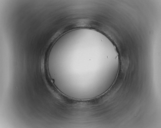 X0000114230482200910091451