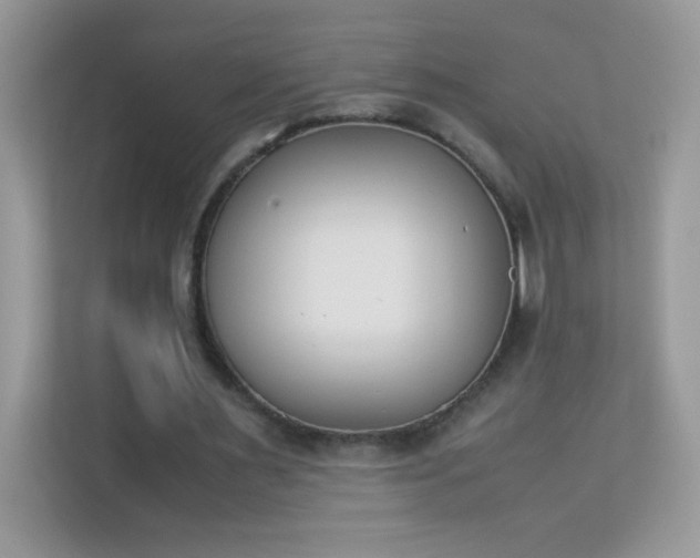 X0000114230483200910091451