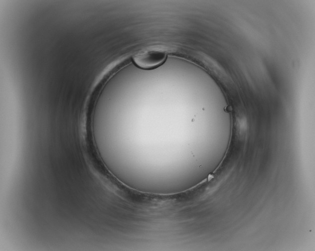 X0000114230484200910091451