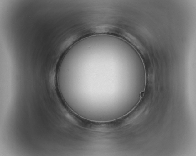 X0000114230485200910091451