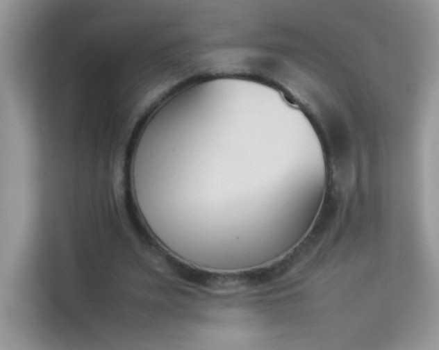 X0000114230487200910091451
