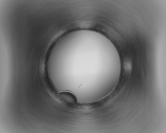 X0000114230492200910091451