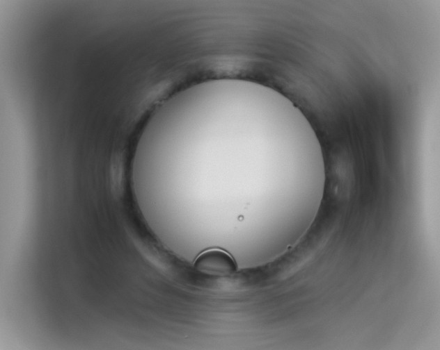 X0000114230496200910091451