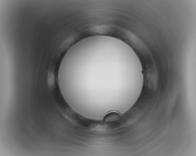 X0000114230500200910091451