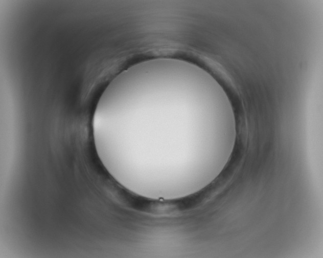 X0000114230501200910091451