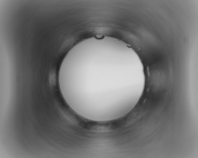 X0000114230502200910091451