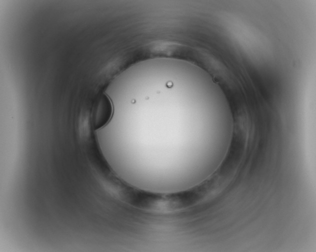 X0000114230504200910091451