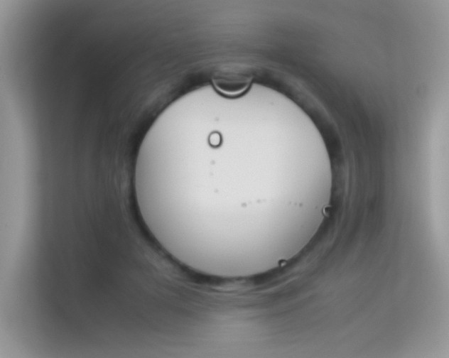X0000114230505200910091451
