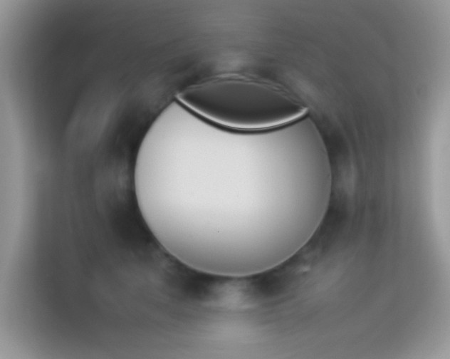 X0000114230513200910091451