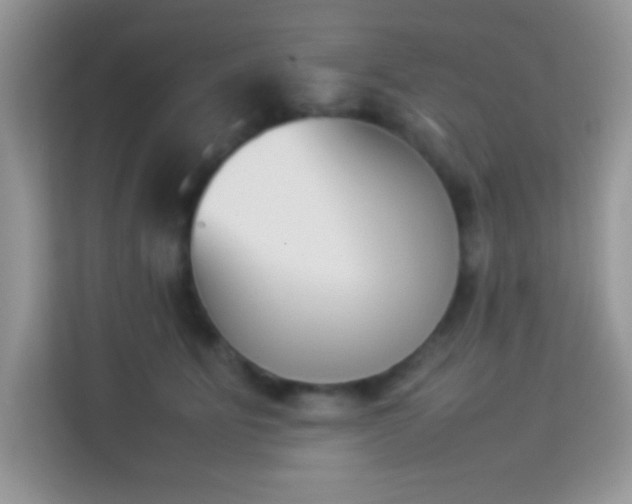 X0000114230515200910091451