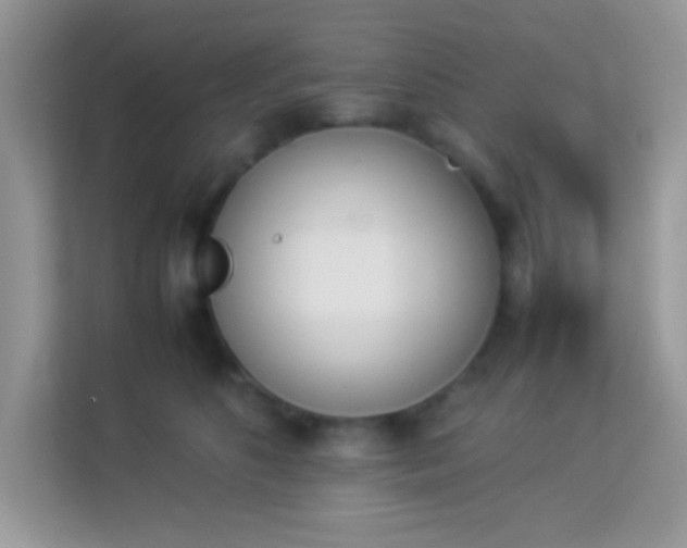 X0000114230516200910091451