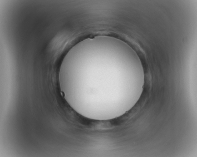 X0000114230517200910091451