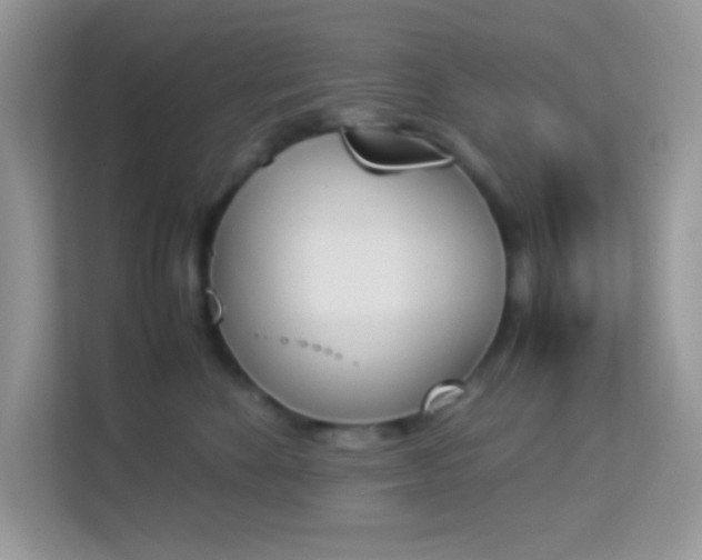 X0000114230524200910091451