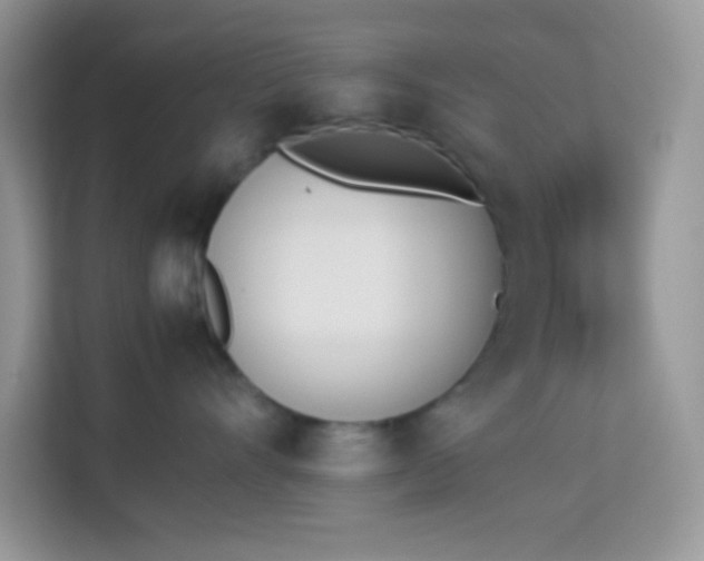 X0000114230528200910091451