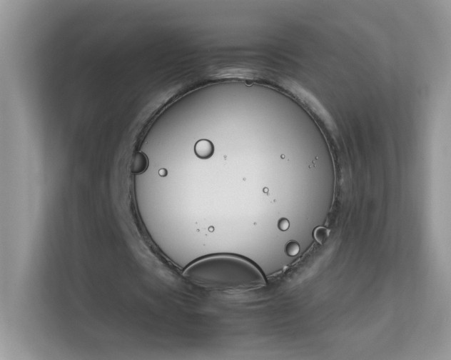 X0000114230529200910091450